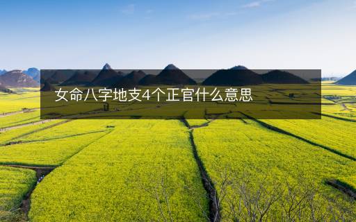 女命八字地支4个正官什么意思
