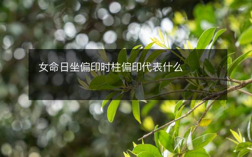 女命日坐偏印时柱偏印代表什么