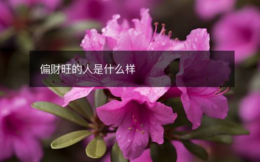 偏财旺的人是什么样