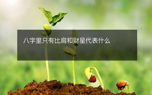八字里只有比肩和财星代表什么