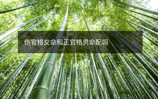 伤官格女命和正官格男命配吗