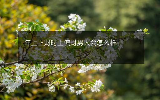 年上正财时上偏财男人会怎么样