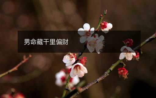 男命藏干里偏财
