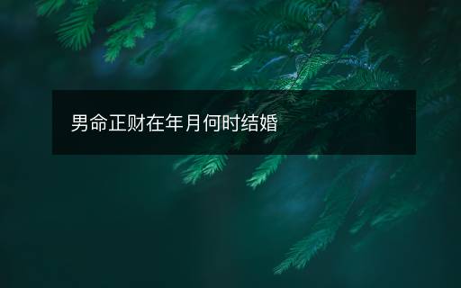 男命正财在年月何时结婚
