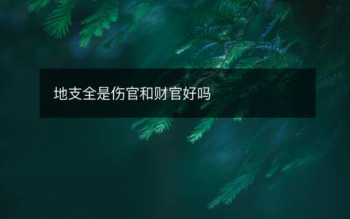 地支全是伤官和财官好吗