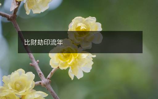 比财劫印流年