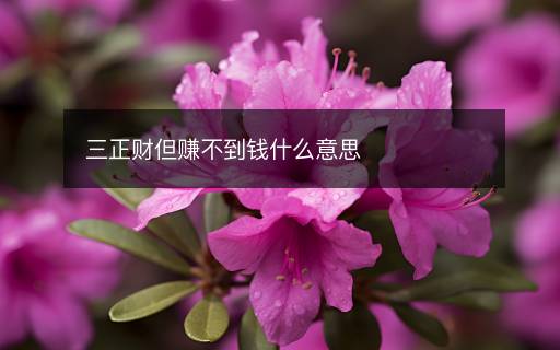 三正财但赚不到钱什么意思