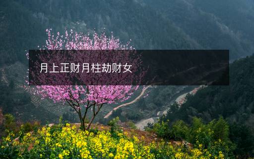 月上正财月柱劫财女