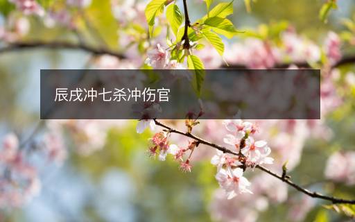 辰戌冲七杀冲伤官