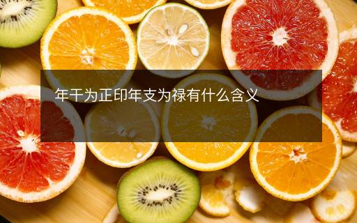 年干为正印年支为禄有什么含义
