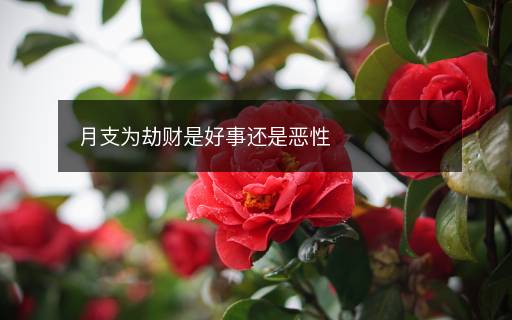 月支为劫财是好事还是恶性