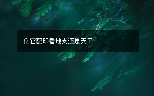 伤官配印看地支还是天干