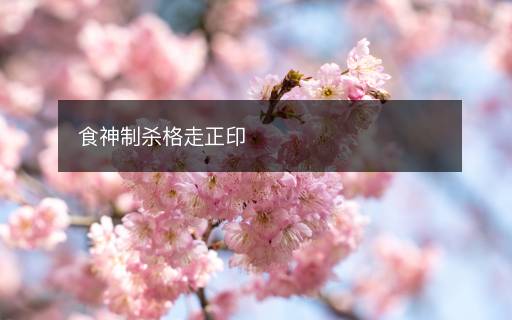 食神制杀格走正印