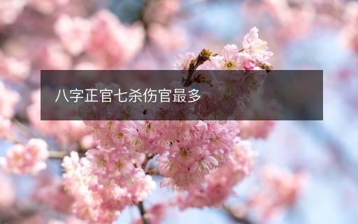 八字正官七杀伤官最多