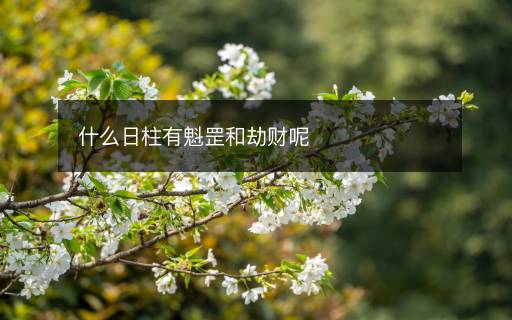 什么日柱有魁罡和劫财呢 什么日柱有魁罡和劫财呢