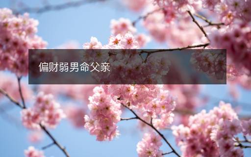 偏财弱男命父亲