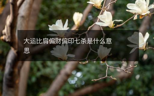 大运比肩偏财偏印七杀是什么意思