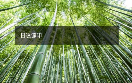 日透偏印