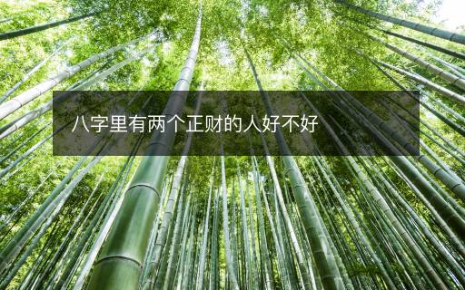 八字里有两个正财的人好不好