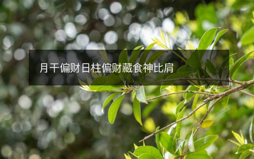 月干偏财日柱偏财藏食神比肩 月干偏财日柱偏财藏食神比肩