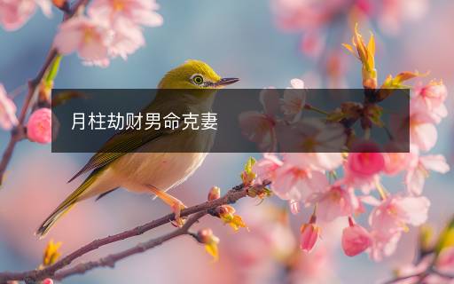 月柱劫财男命克妻