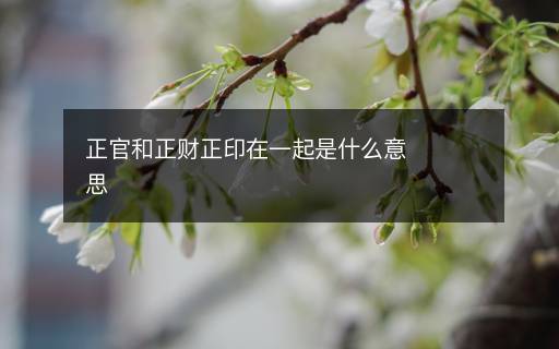 正官和正财正印在一起是什么意思