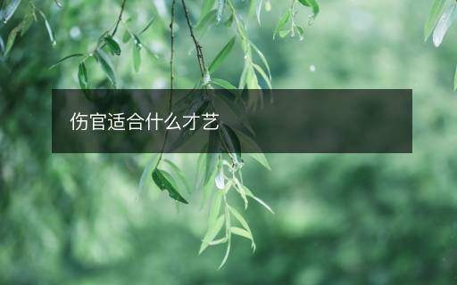 伤官适合什么才艺