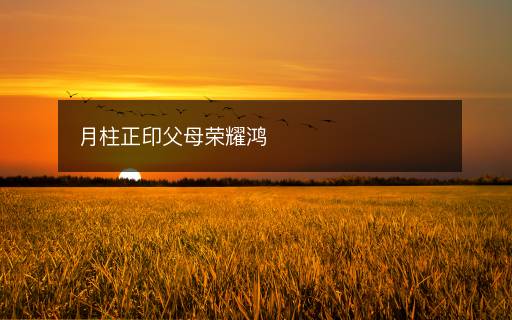 月柱正印父母荣耀鸿