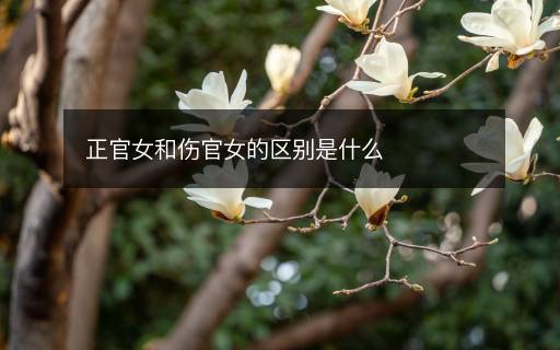 正官女和伤官女的区别是什么
