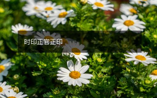 时印正官正印