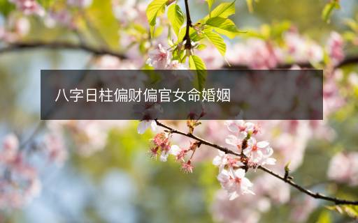 八字日柱偏财偏官女命婚姻