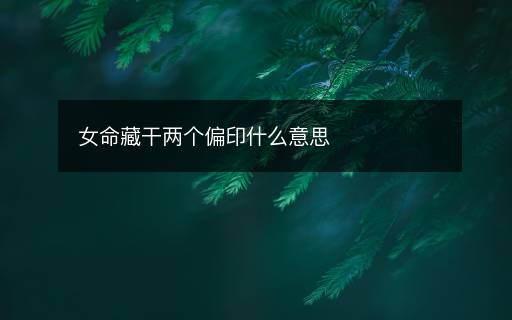 女命藏干两个偏印什么意思