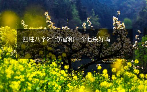 四柱八字2个伤官和一个七杀好吗