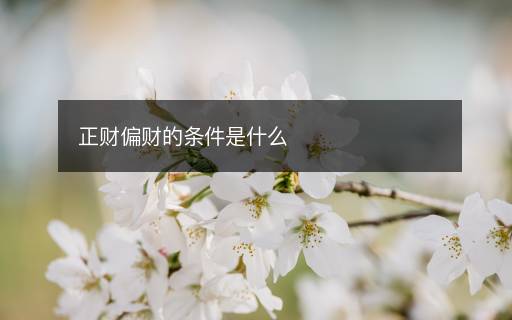正财偏财的条件是什么