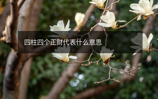 四柱四个正财代表什么意思