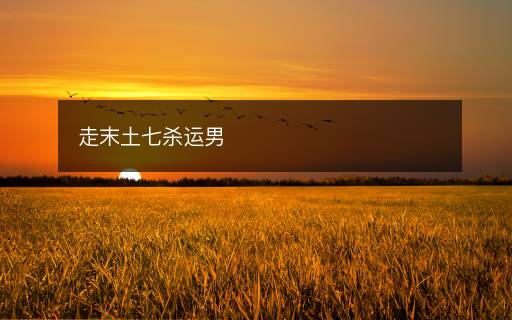 走末土七杀运男