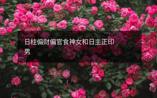 日柱偏财偏官食神女和日主正印男