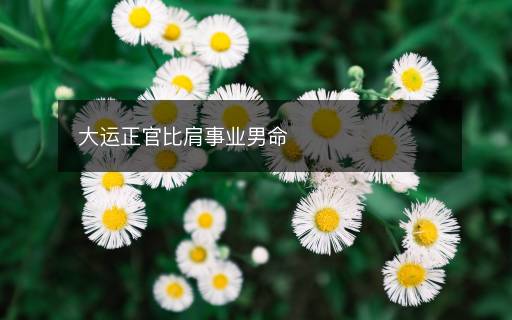 大运正官比肩事业男命