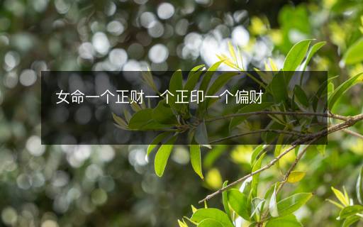 女命一个正财一个正印一个偏财