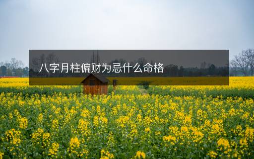 八字月柱偏财为忌什么命格