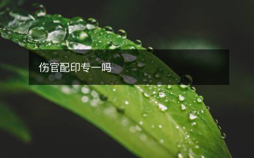 伤官配印专一吗