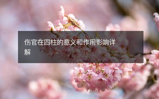 伤官在四柱的意义和作用影响详解