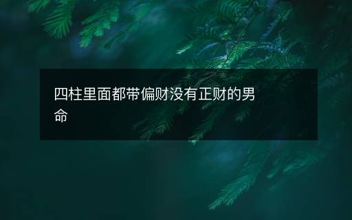 四柱里面都带偏财没有正财的男命