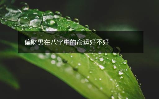 偏财男在八字中的命运好不好