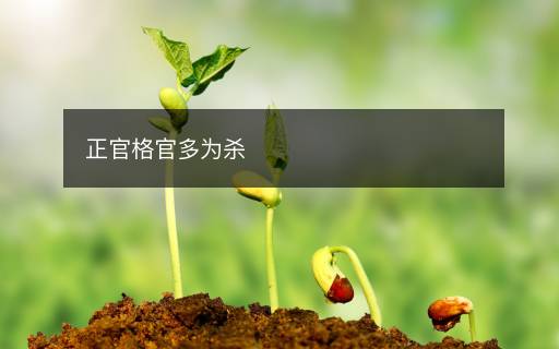 正官格官多为杀