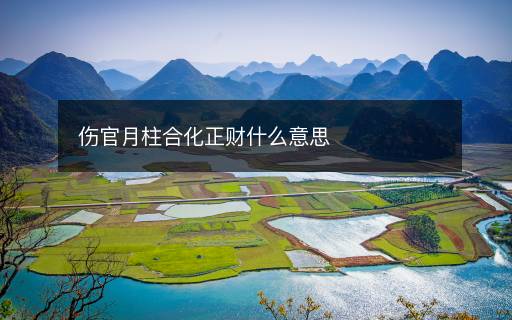 伤官月柱合化正财什么意思