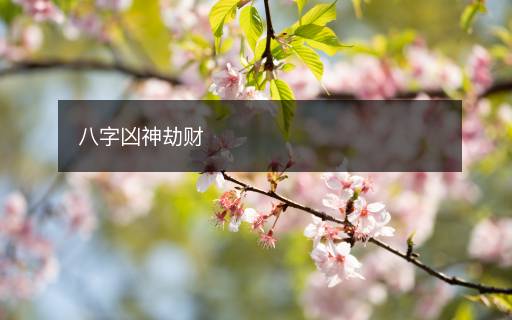 八字凶神劫财