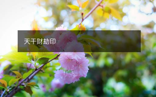 天干财劫印