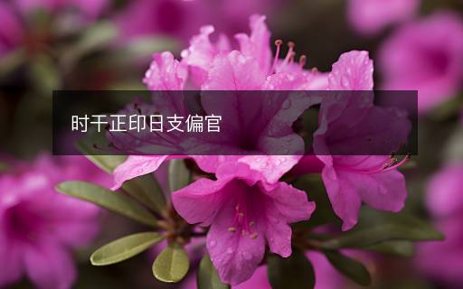 时干正印日支偏官