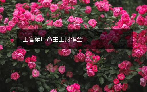 正官偏印命主正财俱全